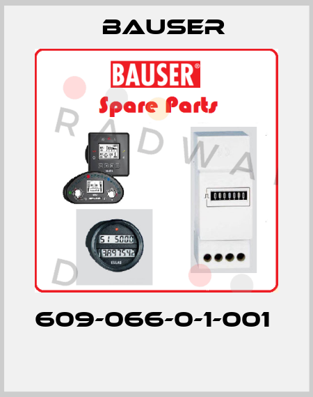 609-066-0-1-001   Bauser