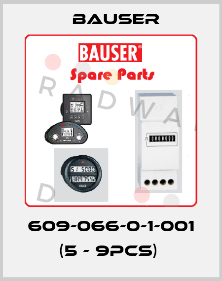 609-066-0-1-001 (5 - 9pcs)  Bauser