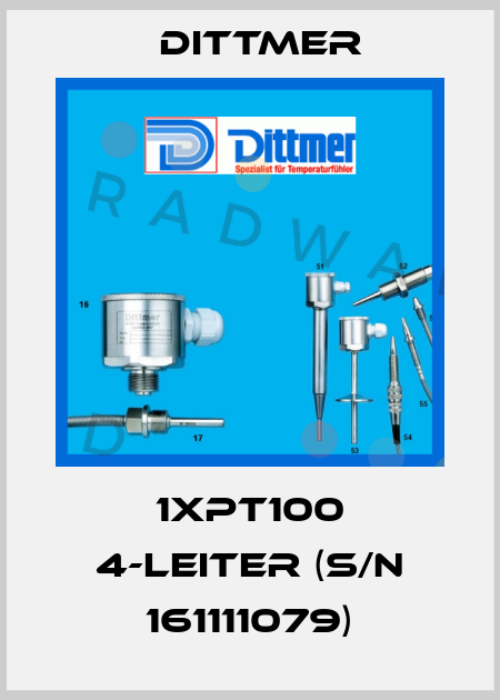 1xPT100 4-Leiter (S/N 161111079) Dittmer