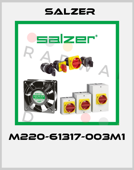 M220-61317-003M1  Salzer