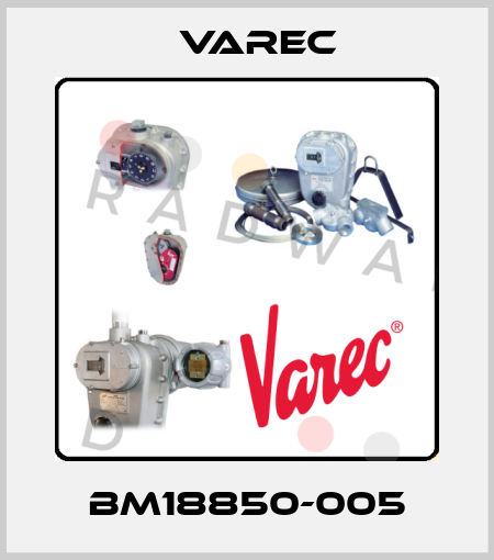 BM18850-005 Varec