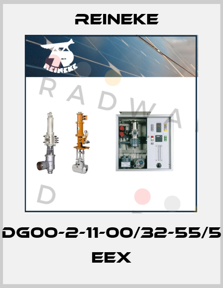 DG00-2-11-00/32-55/5 EEx Reineke