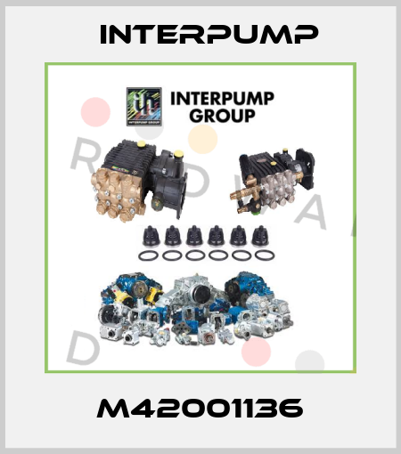 M42001136 Interpump