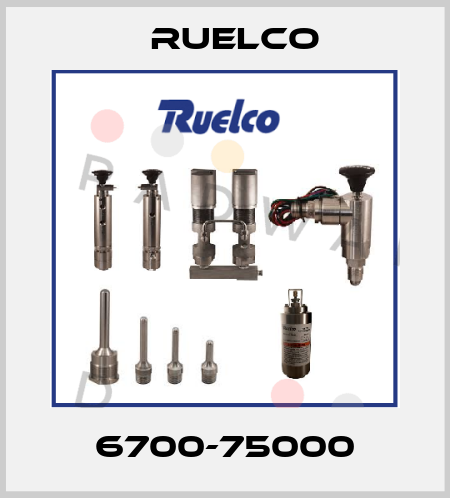 6700-75000 Ruelco