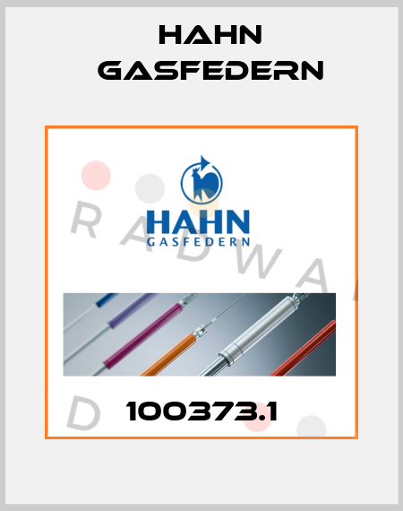100373.1 Hahn Gasfedern