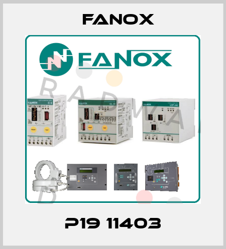 P19 11403 Fanox
