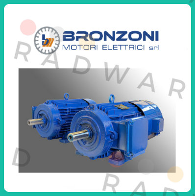 RCOMV 00021 Bronzoni