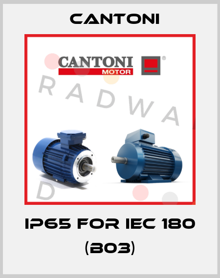 IP65 for IEC 180 (B03) Cantoni