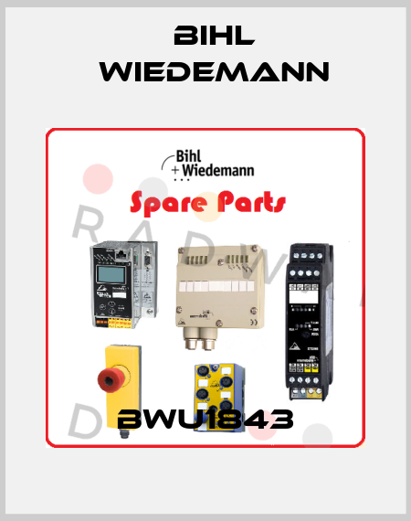 BWU1843 Bihl Wiedemann
