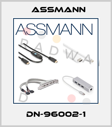 DN-96002-1 Assmann