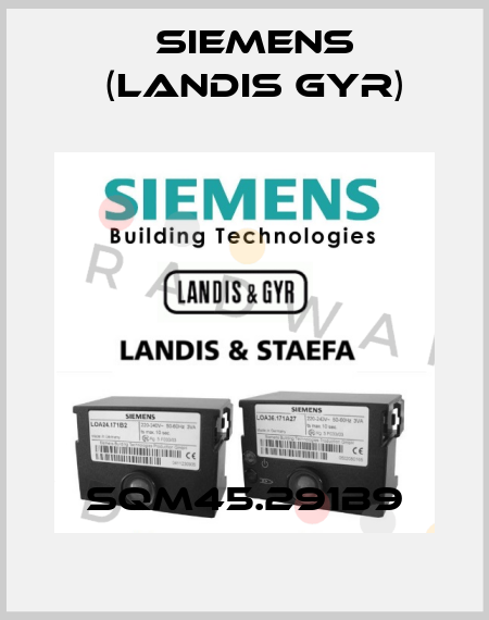 SQM45.291B9 Siemens (Landis Gyr)