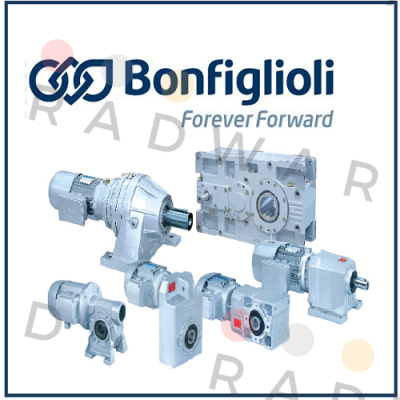 MAS 16 F RATIO 1/18,89 Bonfiglioli