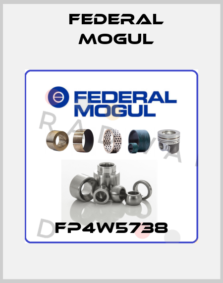 FP4W5738 Federal Mogul
