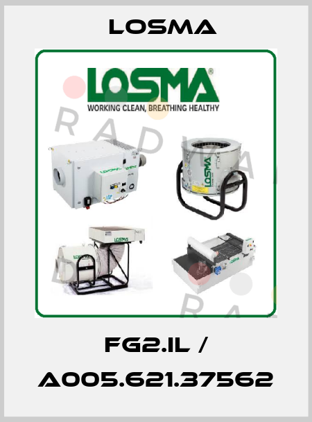FG2.IL / A005.621.37562 Losma