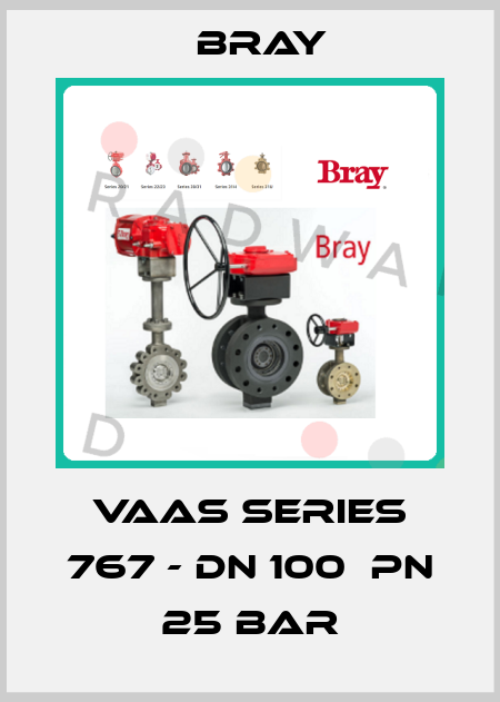 VAAS Series 767 - DN 100  Pn 25 bar Bray