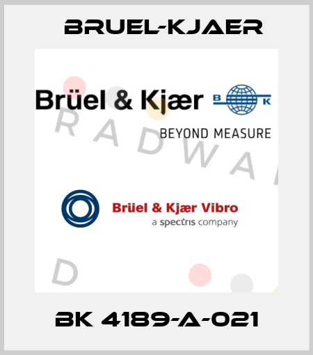 BK 4189-A-021 Bruel-Kjaer