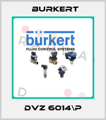 DVZ 6014\P Burkert