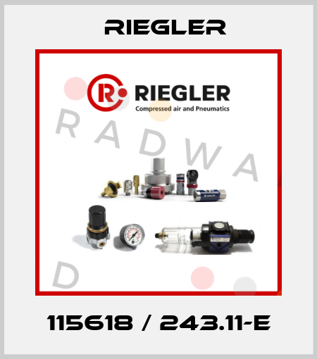115618 / 243.11-E Riegler