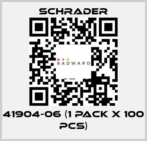 41904-06 (1 pack x 100 pcs) Schrader