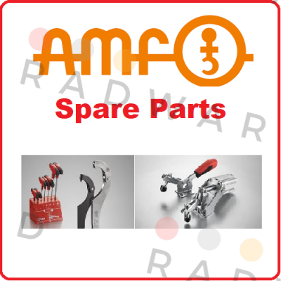 304972 Amf