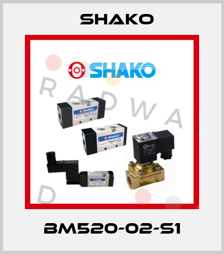 BM520-02-S1 SHAKO
