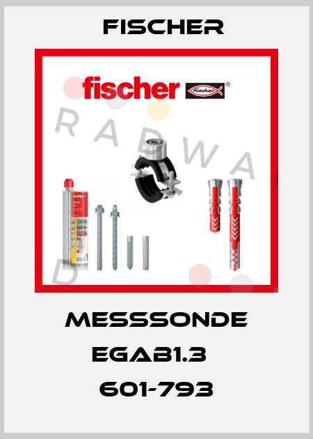 MESSSONDE EGAB1.3   601-793 Fischer