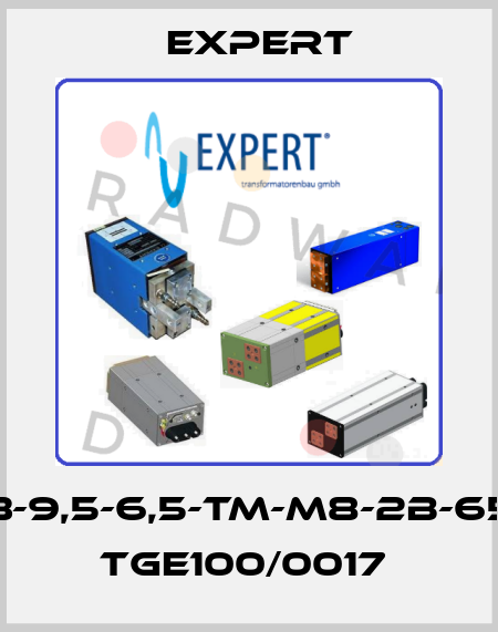 MF3-9,5-6,5-TM-M8-2B-650V TGE100/0017  Expert