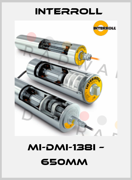 MI-DMI-138I – 650MM  Interroll