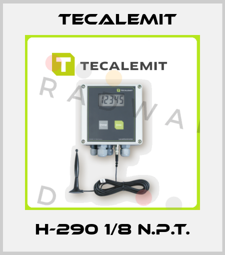 H-290 1/8 N.P.T. Tecalemit
