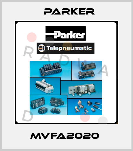 MVFA2020  Parker