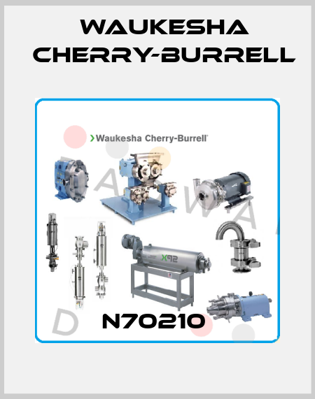 N70210  Waukesha Cherry-Burrell