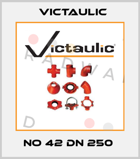NO 42 DN 250  Victaulic