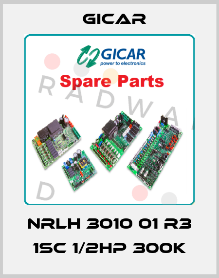 NRLH 3010 01 R3 1SC 1/2HP 300K GICAR