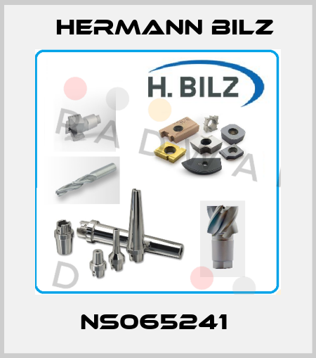 NS065241  Hermann Bilz