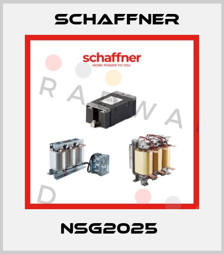 NSG2025  Schaffner