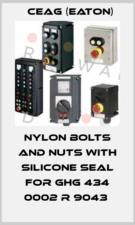 NYLON BOLTS AND NUTS WITH SILICONE SEAL FOR GHG 434 0002 R 9043  Ceag (Eaton)