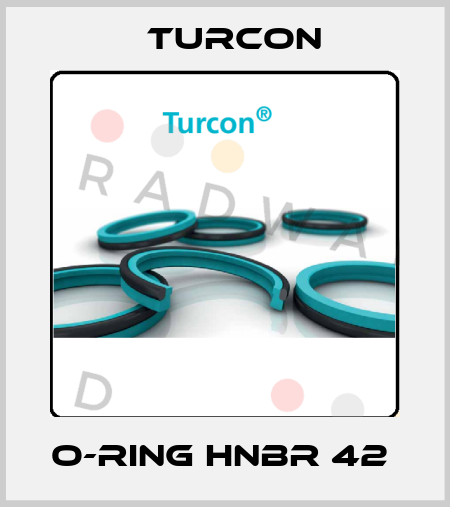 O-RING HNBR 42  Turcon