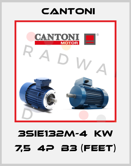 3SIE132M-4  KW 7,5  4P  B3 (Feet) Cantoni