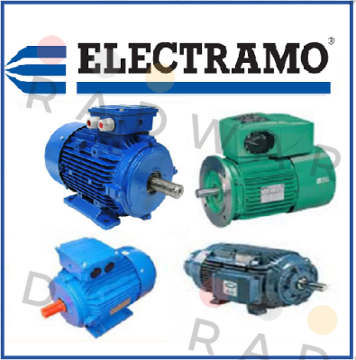 DM160L484, MSD160L-4/8 Electramo