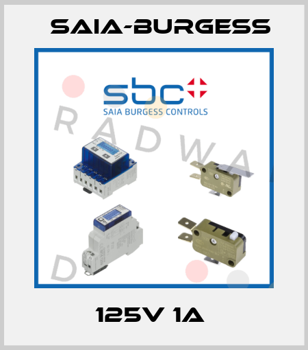 125V 1A  Saia-Burgess