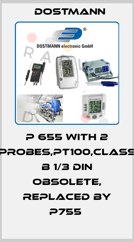 P 655 with 2 probes,Pt100,class B 1/3 DIN Obsolete, replaced by P755  Dostmann