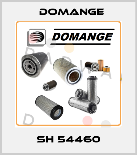 SH 54460 Domange