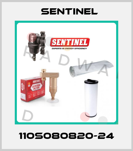 110S080820-24 Sentinel