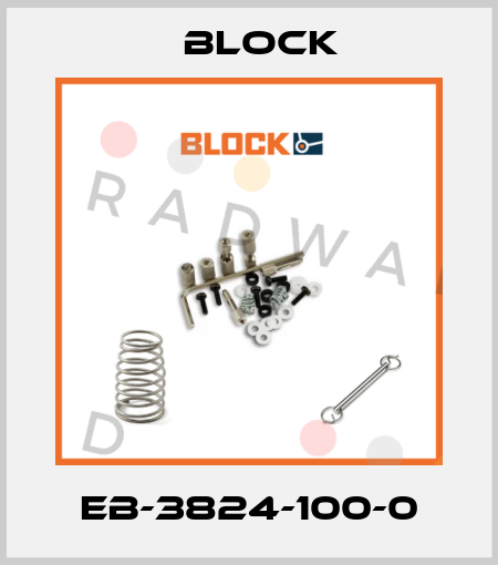 EB-3824-100-0 Block