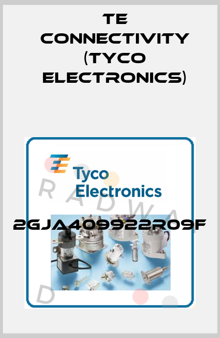 2GJA409922R09F TE Connectivity (Tyco Electronics)