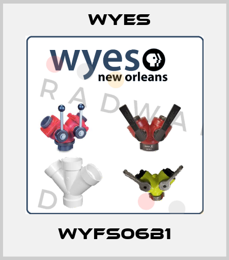 WYFS06B1 Wyes