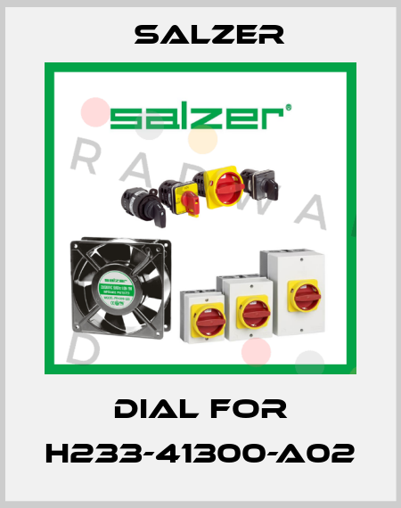 Dial for H233-41300-A02 Salzer