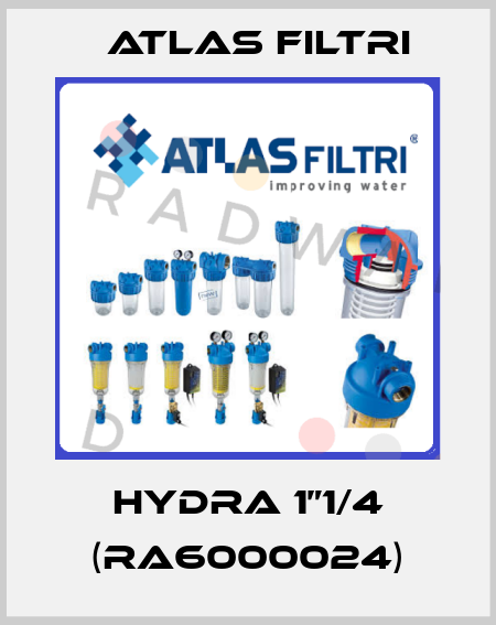 Hydra 1”1/4 (RA6000024) Atlas Filtri