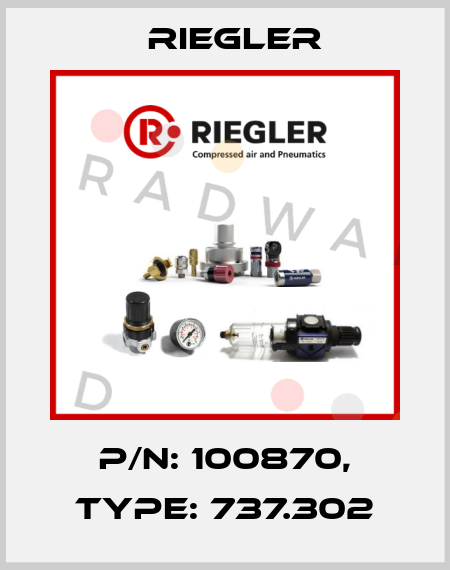P/N: 100870, Type: 737.302 Riegler