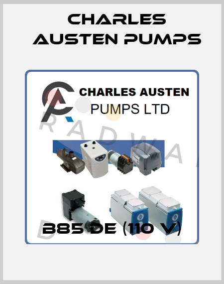 B85 DE (110 V) Charles Austen Pumps
